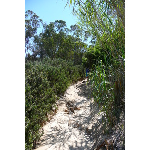 รูปถ่าย ฝรั่งเศส(France) เกาะปอร์เกอรอล(Porquerolles Island) หาดกูร์ตาด(Courtade beach) 2008-05 13