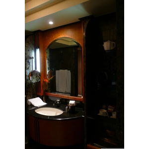 รูปถ่าย แอฟริกาใต้(South Africa) โจฮันเนสเบิร์ก(Johannesburg) โรงแรมอินเตอร์คอนติเนนตัล(Intercontinental Hotel) 2008-09 18