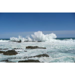 รูปถ่าย แอฟริกาใต้(South Africa) อุทยานแห่งชาติซิตซิคัมมา(Tsitsikamma National Park) 2008-09 391
