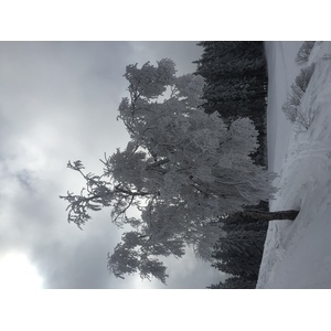 รูปถ่าย ฝรั่งเศส(France) เมแฌฟว์(Megeve) 2016-02 14