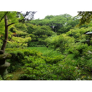 รูปถ่าย ญี่ปุ่น(Japan) โตเกียว(Tokyo) พิพิธภัณฑ์เนซุ(Nezu Museum) 2010-06 68