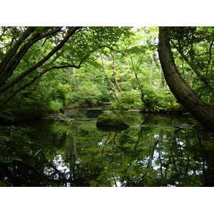 รูปถ่าย ญี่ปุ่น(Japan) โตเกียว(Tokyo) พิพิธภัณฑ์เนซุ(Nezu Museum) 2010-06 57