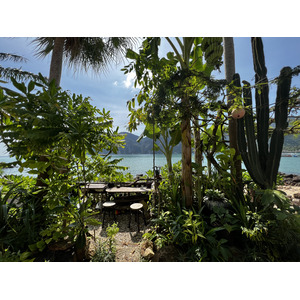 รูปถ่าย ไทย(Thailand) เกาะพีพีดอน(Ko Phi Phi Don) 2021-12 50