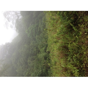 รูปถ่าย ปานามา(Panama) จากดาบิดไปโบกัสเดลโตโร(David to Bocas del toro) 2015-03 45