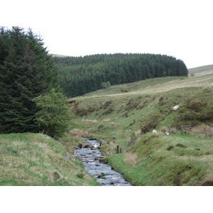 รูปถ่าย อังกฤษ(United Kingdom) อุทยานแห่งชาติเบรคอนบีคอนส์(Brecon Beacons National Park) 2006-05 79