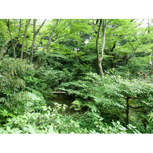 รูปถ่าย ญี่ปุ่น(Japan) โตเกียว(Tokyo) พิพิธภัณฑ์เนซุ(Nezu Museum) 2010-06 112