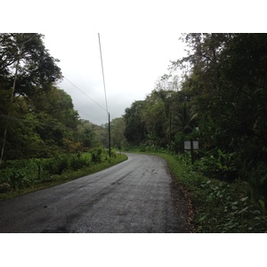 รูปถ่าย คอสตาริกา(Costa Rica) ปวยร์โตเบียโฆเดตาลามังกา(Puerto Viejo de Talamanca) 2015-03 72