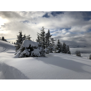 รูปถ่าย ฝรั่งเศส(France) ปรา-ซูร์-อาร์ลี(Praz sur Arly) 2019-12 378