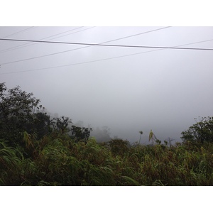 รูปถ่าย ปานามา(Panama) จากดาบิดไปโบกัสเดลโตโร(David to Bocas del toro) 2015-03 71