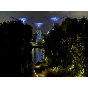 รูปถ่าย สิงคโปร์(Singapore) การ์เดนส์บายเดอะเบย์(Garden by the bay) 2023-01 23