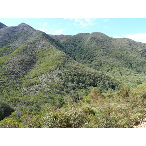 รูปถ่าย นิวแคลิโดเนีย(New Caledonia) ถนนจากทีโอไปกานาลา(Thio to Canala road) 2010-05 32