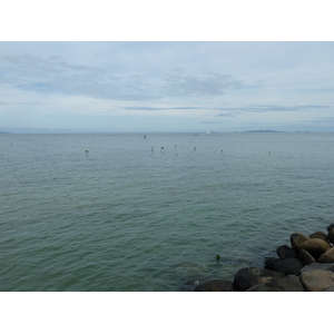 รูปถ่าย ฟิจิ(Fiji) วีเซเซ(Viseisei) 2010-05 9