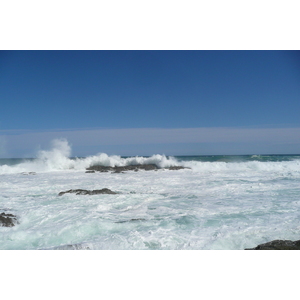รูปถ่าย แอฟริกาใต้(South Africa) อุทยานแห่งชาติซิตซิคัมมา(Tsitsikamma National Park) 2008-09 89