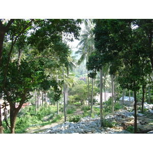 รูปถ่าย ไทย(Thailand) ภูเก็ต(Phuket) กะตะกะรน(Kata Karon) 2005-12 54