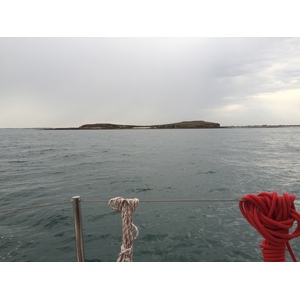 รูปถ่าย ฝรั่งเศส(France) อ่าวมอร์บีอ็อง(Golfe du Morbihan) 2016-08 46