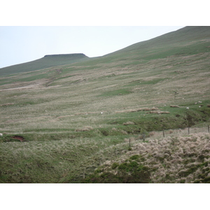 รูปถ่าย อังกฤษ(United Kingdom) อุทยานแห่งชาติเบรคอนบีคอนส์(Brecon Beacons National Park) 2006-05 49