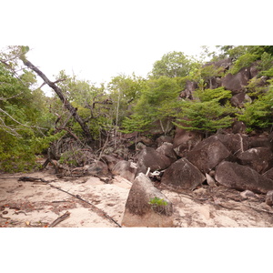 รูปถ่าย เซเชลส์(Seychelles) เกาะกูรีเยิซ(Curieuse) 2011-10 25