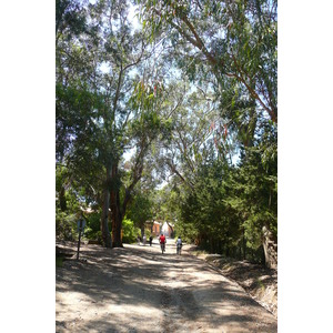 รูปถ่าย ฝรั่งเศส(France) เกาะปอร์เกอรอล(Porquerolles Island) ที่ราบกูร์ตาด(Plaine de la courtade) 2008-05 11