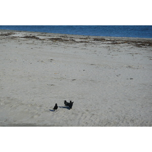 รูปถ่าย ฝรั่งเศส(France) คาบสมุทรกีเบอรง(Quiberon peninsula) แหลมกงแกล(Pointe du Conguel) 2008-07 33