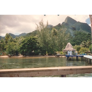 รูปถ่าย เฟรนช์โพลี่นีเซีย(Polynesia) 1993-04 72