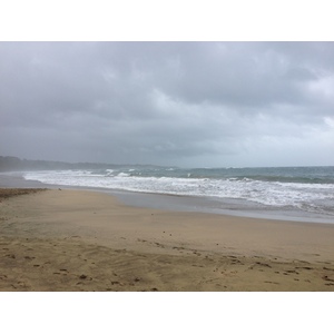 รูปถ่าย คอสตาริกา(Costa Rica) ปวยร์โตเบียโฆเดตาลามังกา(Puerto Viejo de Talamanca) 2015-03 63