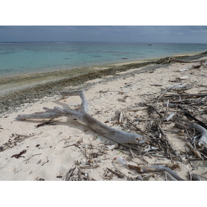 รูปถ่าย ฟิจิ(Fiji) ถนนจากนาดีไปนาตาโดลา(Nadi to Natadola road) 2010-05 55