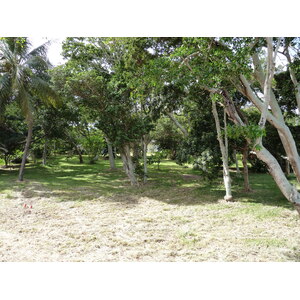 รูปถ่าย นิวแคลิโดเนีย(New Caledonia) นูเมอา(Noumea) อ่าวอ็องส์วาตา(Anse Vata) 2010-05 33