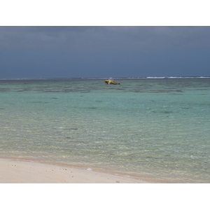 รูปถ่าย ฟิจิ(Fiji) ถนนจากนาดีไปนาตาโดลา(Nadi to Natadola road) 2010-05 65