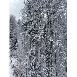 รูปถ่าย ฝรั่งเศส(France) ปรา-ซูร์-อาร์ลี(Praz sur Arly) 2025-02 81