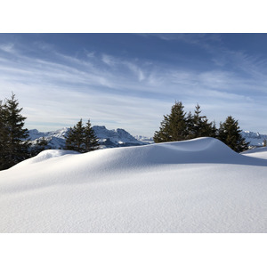 รูปถ่าย ฝรั่งเศส(France) ปรา-ซูร์-อาร์ลี(Praz sur Arly) 2019-12 230
