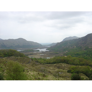 รูปถ่าย ไอร์แลนด์(Ireland) เคอร์รี่(Kerry) สวนสาธารณะคิลลาร์นีย์เนชั่นเนล(Killarney National Park) 2004-05 1