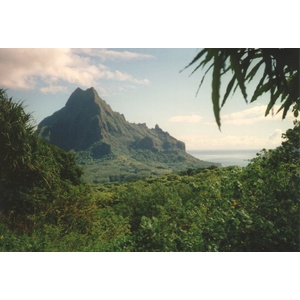 รูปถ่าย เฟรนช์โพลี่นีเซีย(Polynesia) 1993-04 81