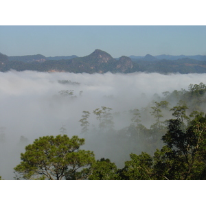 รูปถ่าย ไทย(Thailand) ปางมะผ้า(Pang Mapha) 2005-12 151