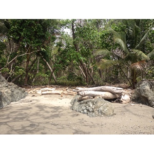 รูปถ่าย คอสตาริกา(Costa Rica) มอนเตซูมา(Montezuma) 2015-03 426