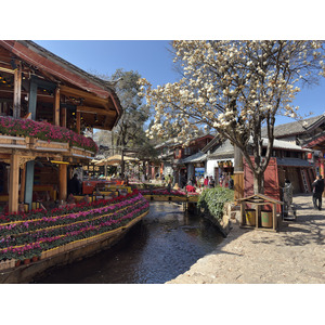 รูปถ่าย จีน(China) ลี่เจียง(Lijiang) 2026-01 499