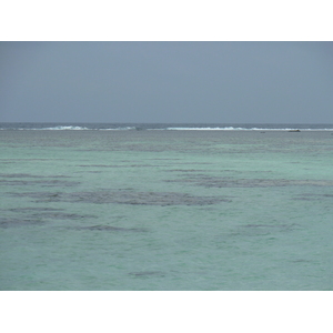 รูปถ่าย ฟิจิ(Fiji) ถนนจากนาดีไปนาตาโดลา(Nadi to Natadola road) 2010-05 54