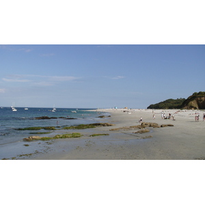 รูปถ่าย ฝรั่งเศส(France) กวัว(Groix) 2005-08 5
