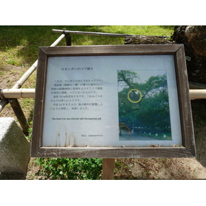 รูปถ่าย ญี่ปุ่น(Japan) เกียวโต(Kyoto) สวนเกียวโตเกียวเอ็ง(Kyoto Gyoen Garden) 2010-06 61