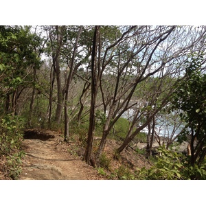 รูปถ่าย คอสตาริกา(Costa Rica) มอนเตซูมา(Montezuma) 2015-03 421