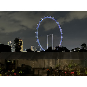 รูปถ่าย สิงคโปร์(Singapore) การ์เดนส์บายเดอะเบย์(Garden by the bay) 2023-01 38