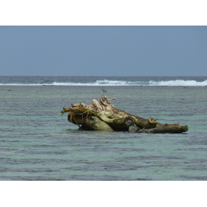 รูปถ่าย ฟิจิ(Fiji) ถนนจากนาดีไปนาตาโดลา(Nadi to Natadola road) 2010-05 78