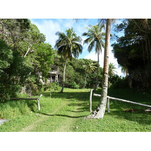 รูปถ่าย นิวแคลิโดเนีย(New Caledonia) เกาะลีฟู(Lifou) โยซิป(Josip) 2010-05 1