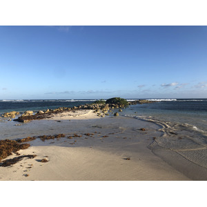 รูปถ่าย กวาเดอลูป(Guadeloupe) หาดลาการาแวล(La Caravelle Beach) 2021-02 162