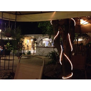 รูปถ่าย คอสตาริกา(Costa Rica) ฝั่งมหาสมุทรแปซิฟิก(Pacific Border) 2015-03 1