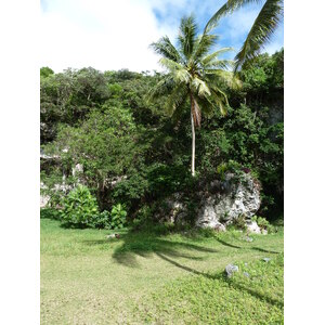 รูปถ่าย นิวแคลิโดเนีย(New Caledonia) เกาะลีฟู(Lifou) โยซิป(Josip) 2010-05 15
