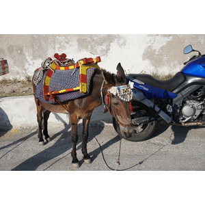 รูปถ่าย กรีก(Greece) ซานโตรินี(Santorini) 2016-07 78