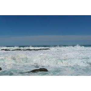 รูปถ่าย แอฟริกาใต้(South Africa) อุทยานแห่งชาติซิตซิคัมมา(Tsitsikamma National Park) 2008-09 62