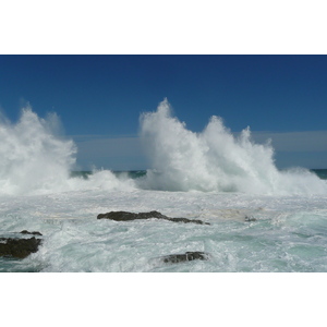 รูปถ่าย แอฟริกาใต้(South Africa) อุทยานแห่งชาติซิตซิคัมมา(Tsitsikamma National Park) 2008-09 82