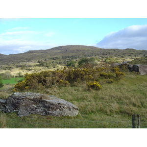 รูปถ่าย ไอร์แลนด์(Ireland) เคอร์รี่(Kerry) สวนสาธารณะคิลลาร์นีย์เนชั่นเนล(Killarney National Park) 2004-05 2