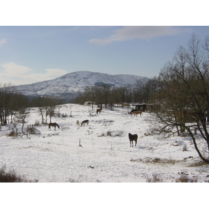 รูปถ่าย ฝรั่งเศส(France) วังซ์(Vence) ช่องเขาเดอว็องส์(Col de Vence) 2003-02 3